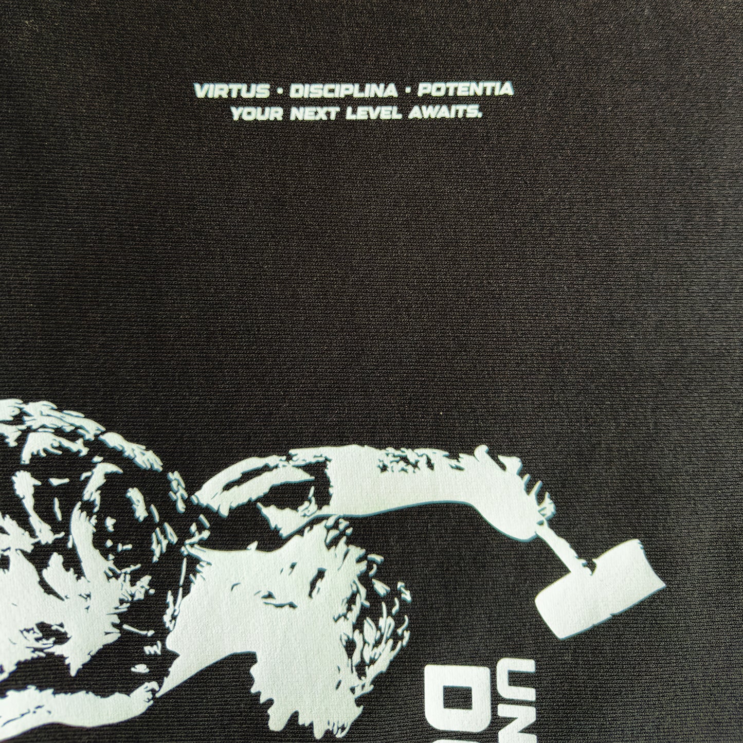 Virtus Hoodie